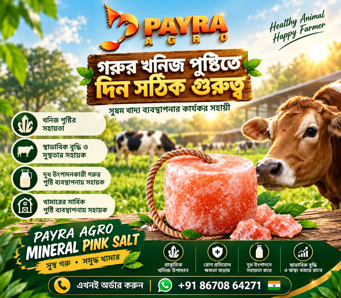 PAYRA AGRO MINERAL PINK SALT (10 kg)